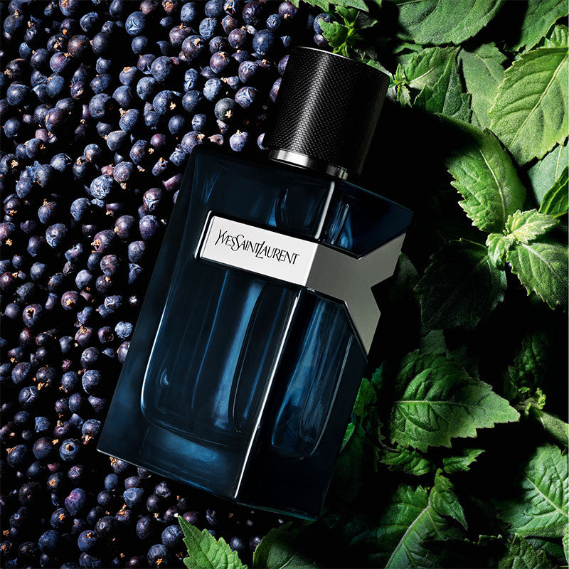 Yves Saint Laurent - and Men Intense (Eau de Parfum Intense)