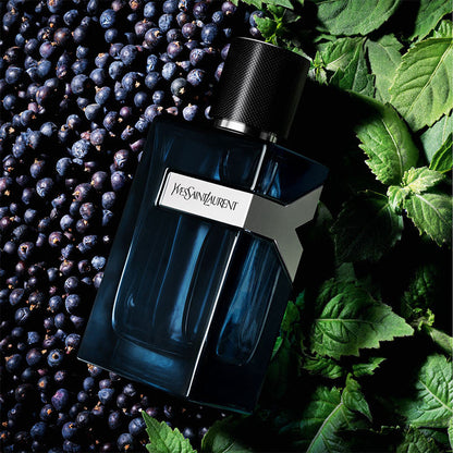 Yves Saint Laurent - and Men Intense (Eau de Parfum Intense)